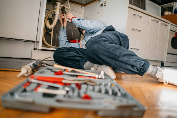Best Affordable Plumber Near Me  in North Pearsall, TX