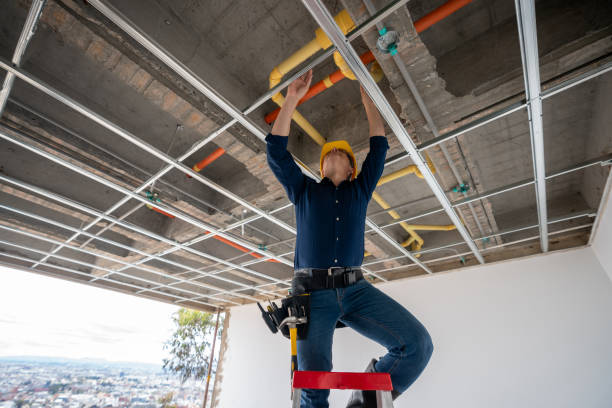 Best Plumbing Inspection Services  in North Pearsall, TX
